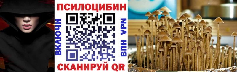 Купить  Заволжье  Псилоцибиновые грибы MAGIC MUSHROOMS 